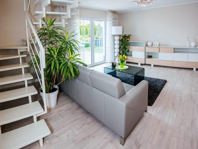 Słoneczna Jedynka · Etap 1: Salon