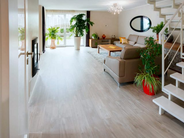 Słoneczna Jedynka · Etap 1: Salon